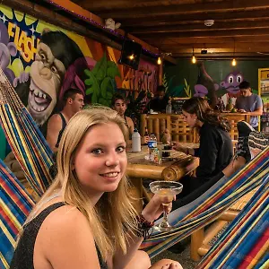 Hostel Purple Monkey, Medellin